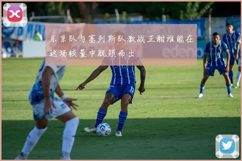 东京队与塞列斯队激战正酣谁能在这场较量中脱颖而出